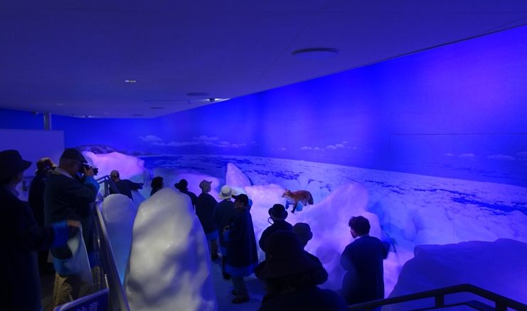 流氷体感室の内部は氷の世界