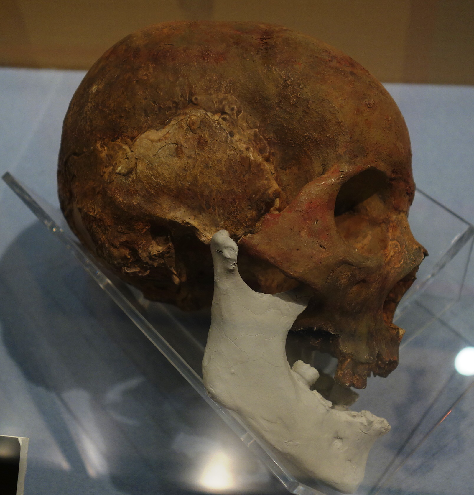 臼塚古墳の頭蓋骨